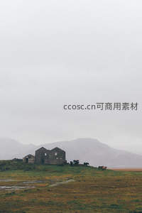 雾中废弃石屋与山坡上的牛群