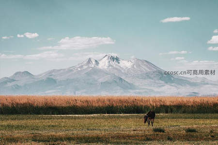 雪山脚下孤马悠然吃草
