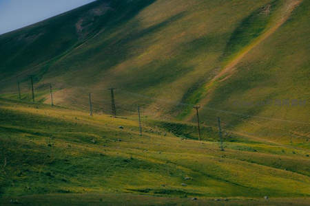 绿坡上的电线杆与光影交错
