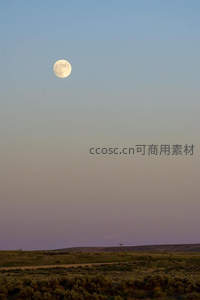 满月高悬荒漠夜空