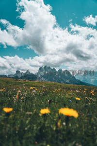 花海中的壮丽山峰