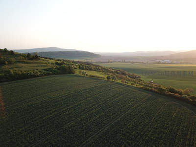 日落时分的农田航拍