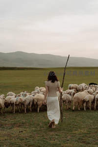 背影牧羊女，引领羊群走向远方
