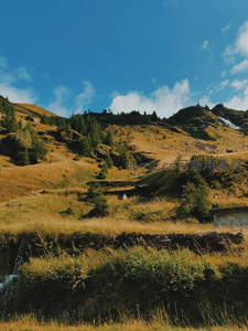 山野秋色，溪流蜿蜒穿林间