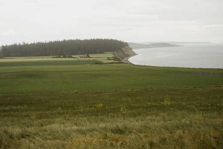 海岸线旁绿野千里，森林静卧山丘