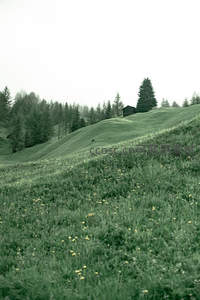 绿坡之上小屋隐于林间