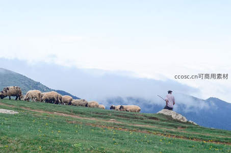 牧人守望羊群漫步山巅
