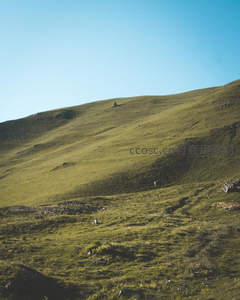 青翠山坡在晴空下延展