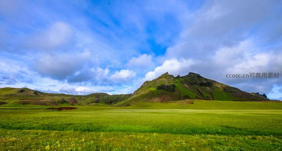 青山脚下花海如毯