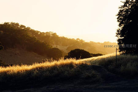 金色夕阳洒满起伏的山丘草地