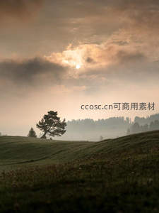 晨雾中的孤树与远山