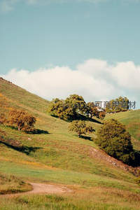 山坡小径与秋日林木