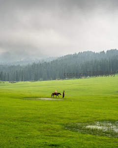雨后草原上人与马的剪影
