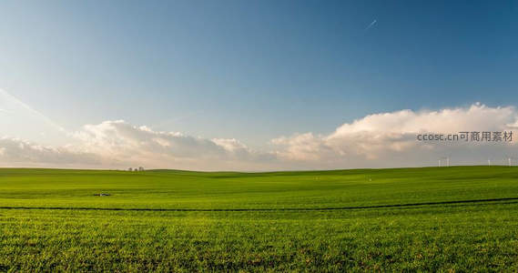 无垠绿野与蓝天白云的壮阔