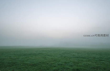 晨雾笼罩下的宁静绿色原野
