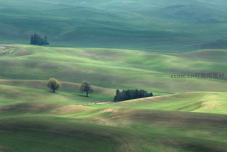薄雾笼罩的绿色波浪丘陵