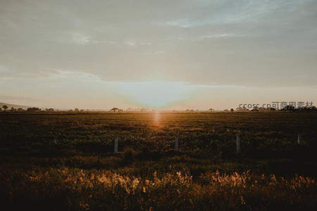 晨曦或暮色中的广袤田野