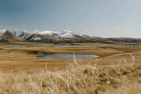高原湖泊与干草摇曳