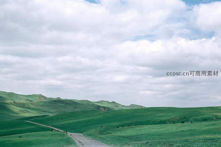 蜿蜒土路穿越碧绿草原牛羊点缀其间