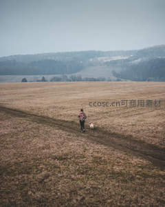 一人一狗漫步于辽阔枯黄原野