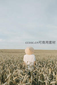 麦田深处的背影与远方