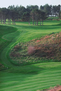 翠绿高尔夫球场蜿蜒小径与林木