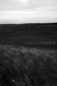 黑白光影下的草原丘陵苍茫意境