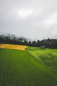 云雾缭绕的山坡梯田与小屋