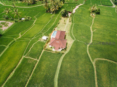 航拍梯田中的热带别墅