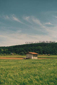 麦田中央的孤寂小屋与远山