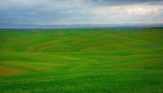 无垠绿野一人行，云影苍茫天地间