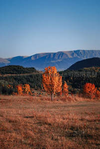 秋山红树，层林尽染映衬远峰