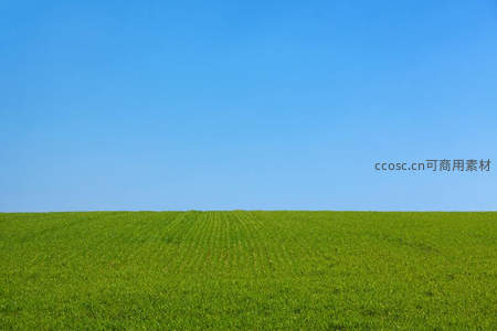 碧空之下绿野无垠一望无际