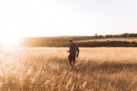 夕阳下漫步金色麦田的孤独身影
