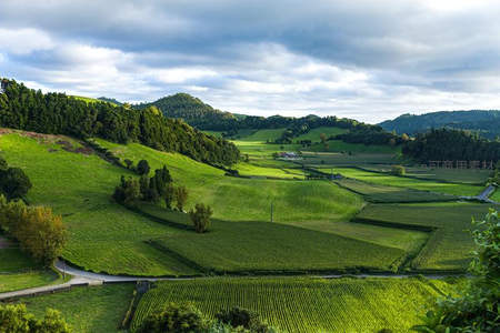 层叠绿野与远山构成的田园画卷
