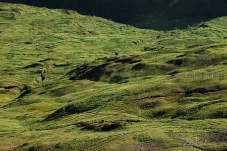 阳光洒落翠绿起伏山丘