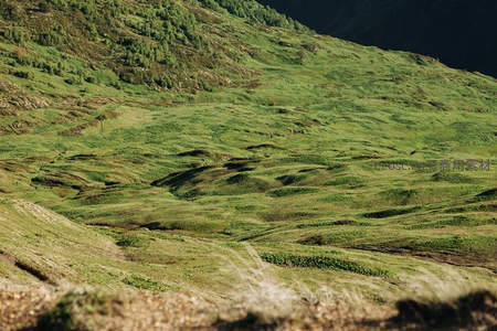层叠绿坡如波浪般延展