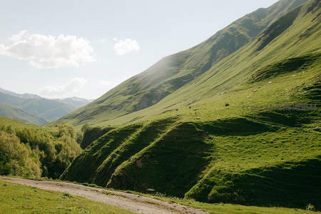 绿意盎然山谷小径蜿蜒伸展