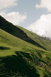 光影交错的翠绿山脊线