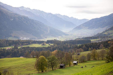 阿尔卑斯山谷中的田园牧歌景象