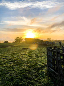 晨曦洒满绿野与木栅栏