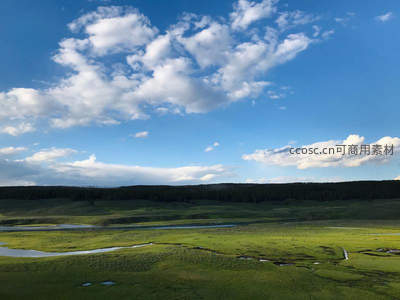 碧空如洗下的湿地草原