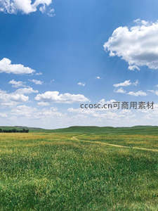 碧空如洗绿野无垠草原风光