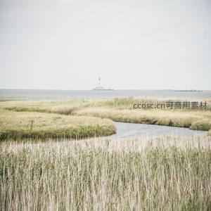 湿地水道蜿蜒穿过芦苇荡，远方灯塔若隐若现