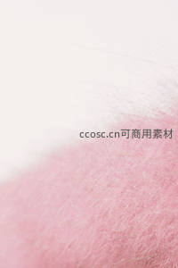 粉色绒毛特写，柔软细腻如云朵