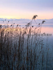 湖畔芦苇剪影映霞光山峦
