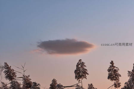 晨曦或黄昏时分，云朵飘过芦苇尖顶