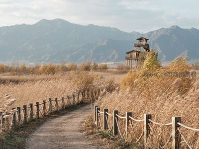 秋日芦苇荡中的木质观景台与远山