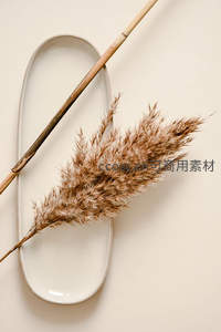 干芦苇与陶瓷盘的静物美学