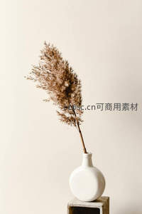 单支芦苇插于白瓷瓶中的禅意